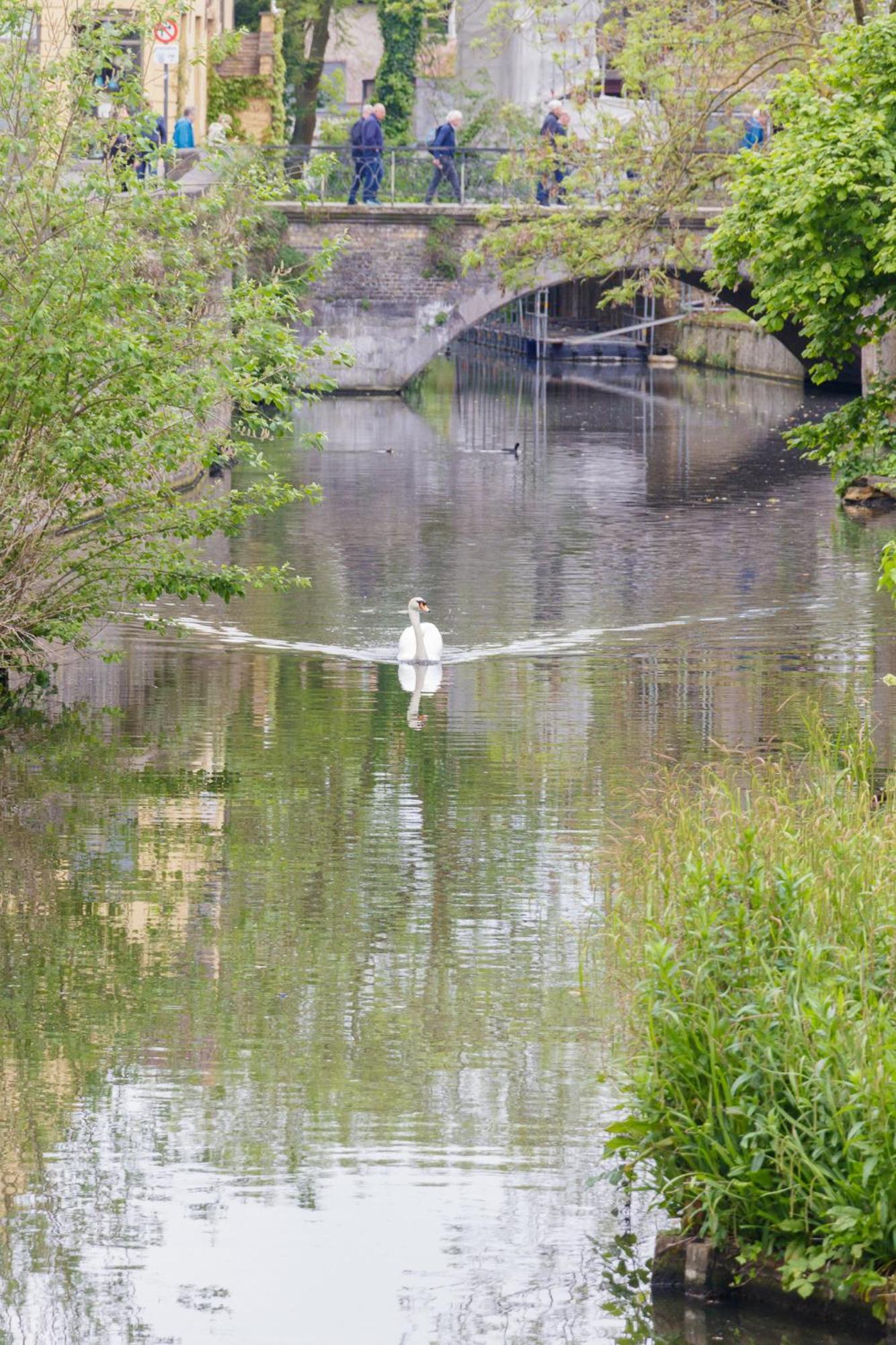 Le Nid Du Prince Bruges Esterno foto